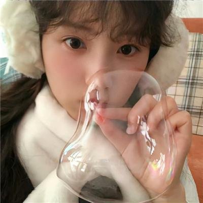 爱国者行动